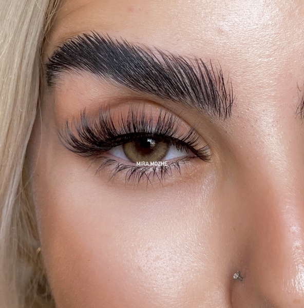 مژه یکسره دنباله دار بوته ای