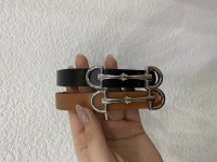 کمربند ماسیمودوتی