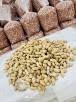 بادام زمینی غلافدار
