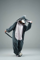 پتو تنپوش خر