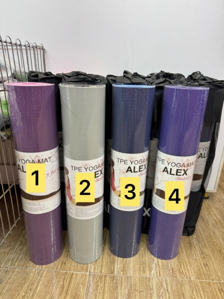 مت یوگا الکس الاینمنت دار