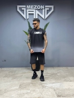 ست وست امیری