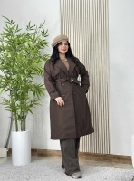 بارونی الیزه