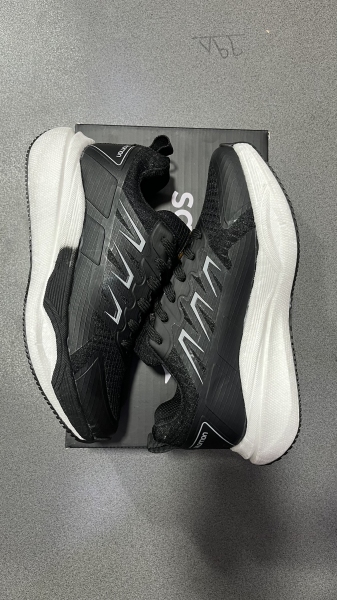 سالامون زیره بست