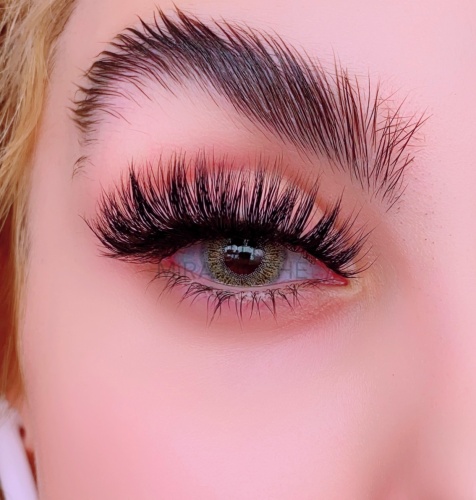 مژه یکسره Vip گِرد لخت بوته ای ضربدری