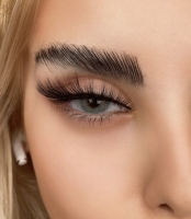 مژه یکسره سیلکی دنباله دار بوته ای ضربدری