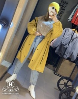 میکرو استر ببعی