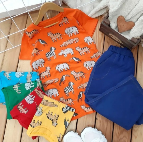 تیشرت شلوارک اسپرت