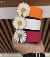 کمربند بابونه