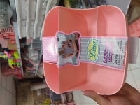 نظم دهنده همه کاره لنا