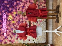 شومیز کتی