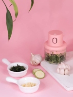 مینی خردکن شارژی