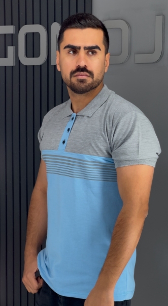 پولوشرت ابی