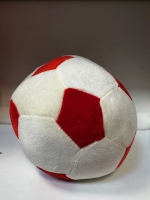 توپ پولیشی