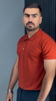 پولوشرت اجری