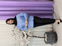 شومیز راه راه